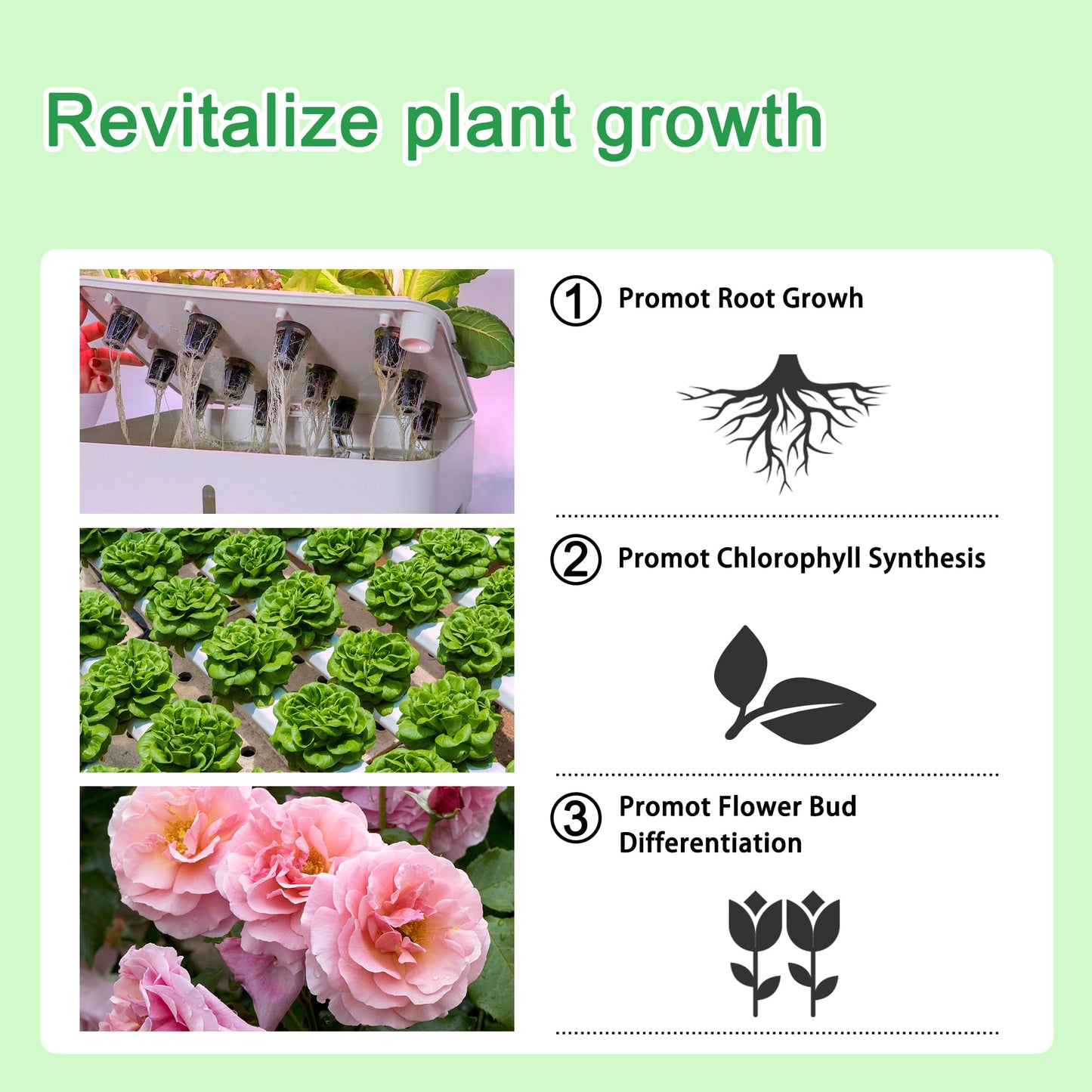 ALIINKD Hydroponics Nutrients (1000ml in Total), A&B Plant Food for Hydroponics Growing System and Potted Houseplants, Plant Fertilizer Supplies