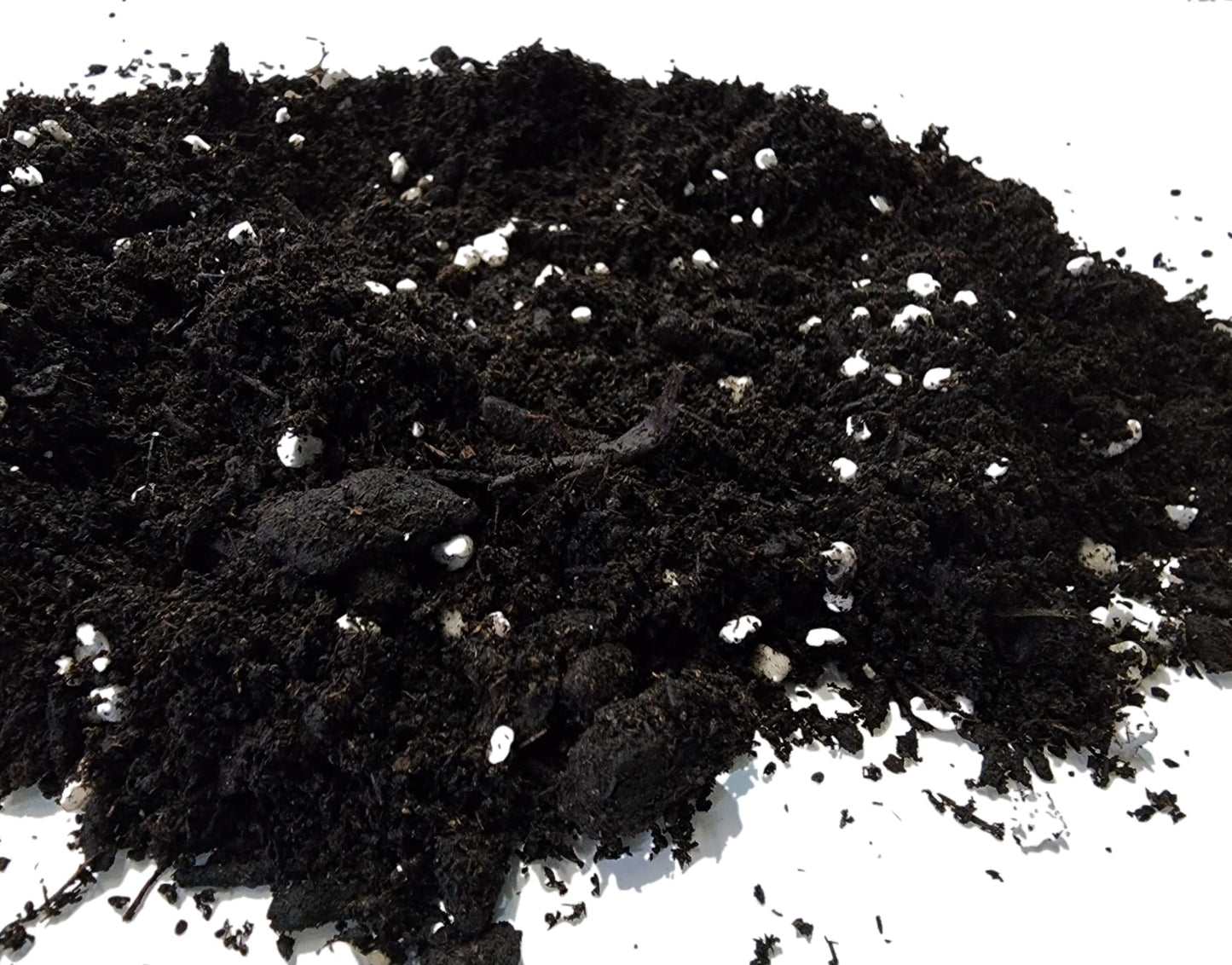 M.M Basics (10 L) Premium Organic Potting Soil Mix with Perlite, Worm Castings, Peat Moss, Aged Forest Products, and Rock Phosphate. Natural PH, an Ideal Soil for Indoor or Outdoor Organic Growing