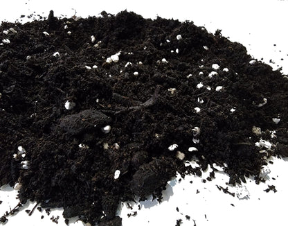M.M Basics (10 L) Premium Organic Potting Soil Mix with Perlite, Worm Castings, Peat Moss, Aged Forest Products, and Rock Phosphate. Natural PH, an Ideal Soil for Indoor or Outdoor Organic Growing