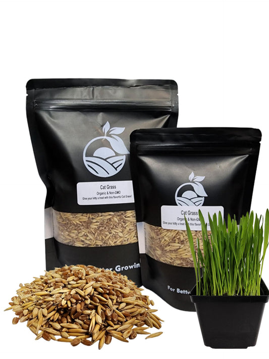 Organic Cat Grass Seeds, Non-GMO, A Mixture of Wheat, Oats, and Barley (800g)