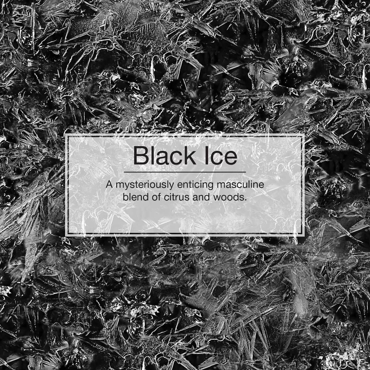Little Trees Black Ice (1 Pack * 24 Units = 24 Pack)