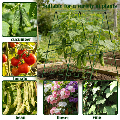 Cucumber Trellis, 120 * 120cm A-Frame Sturdy Metal Garden Trellis for Climbing Vegetables Tomato Bean Pea Rose Vine Plants, Weatherproof Plant Support for Outdoor Raised Bed Patio