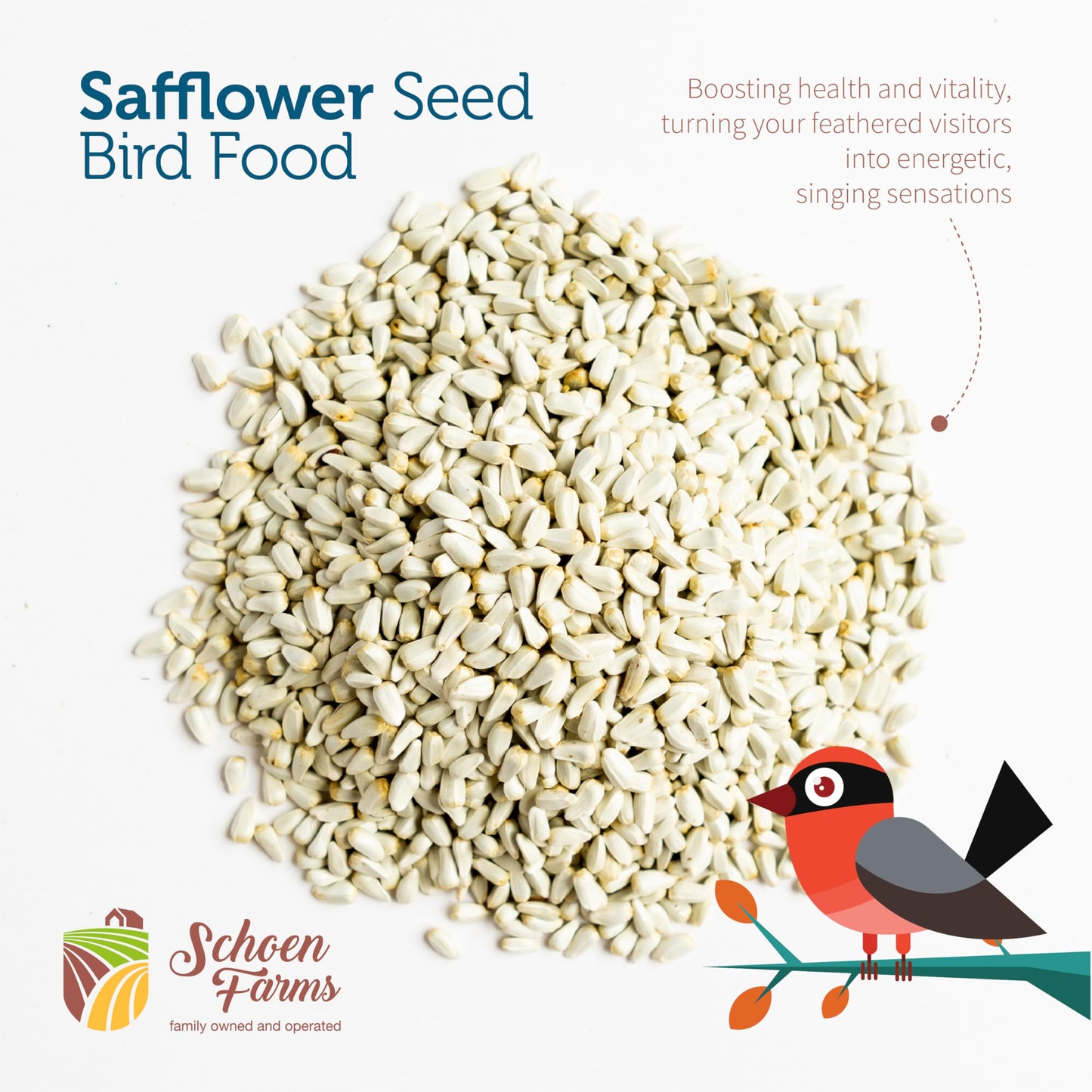 Schoen Farms Safflower Seeds Bird Food – 2.27 kg Bag – Natural Seed for Cardinals, Finches & Doves – Squirrel-Resistant, Canadian Grown