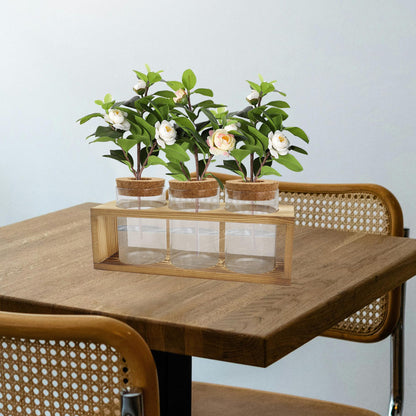 Clear Plant Propagation Station with Retro Wooden Stand, Glass Plant Terrarium Decor with 3 Vase, Desktop Plant Stand for Hydroponic Home Office Garden Decor, Plant Lover Gifts (3 Vase)