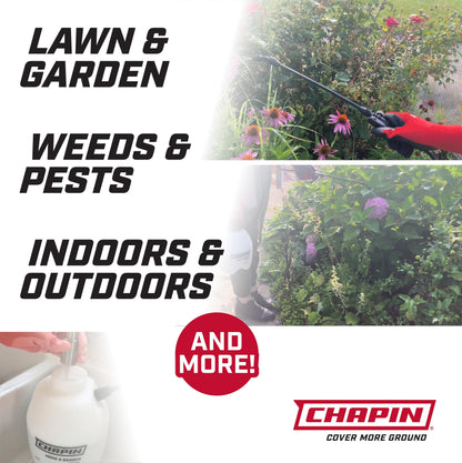 Chapin 16200 Home and Garden Poly Sprayer, 2-Gallon