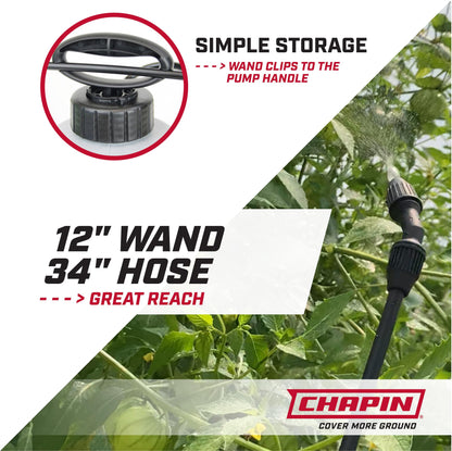 Chapin 16200 Home and Garden Poly Sprayer, 2-Gallon