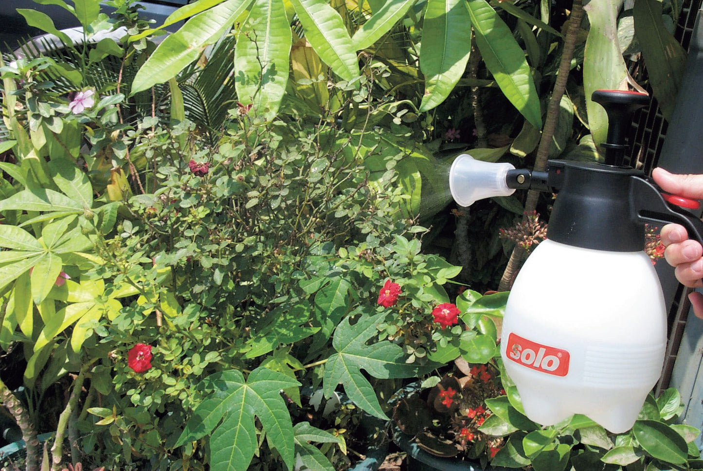 Solo 418 One-Hand Pressure Sprayer, 1-Liter