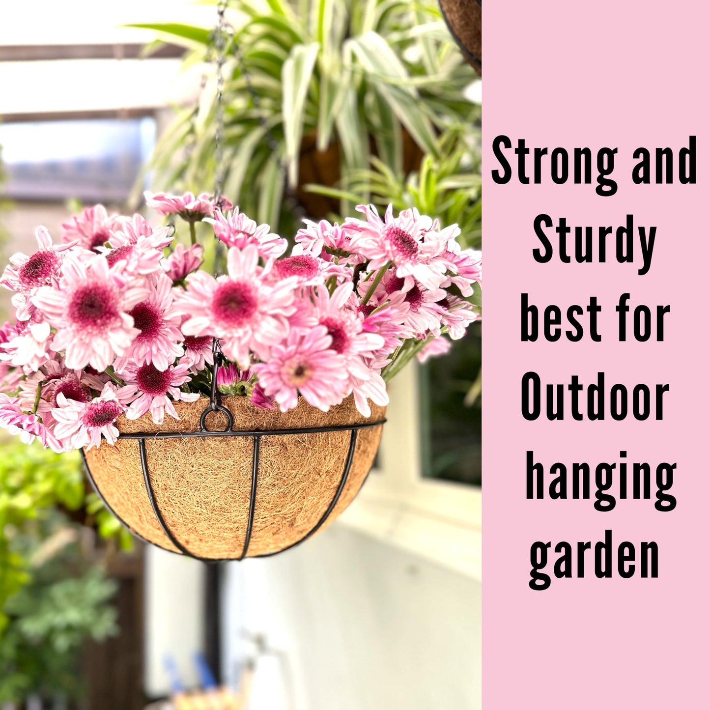 LaLaGreen Hanging Planters for Outdoor Plants (12 Inch, 2 Pack) Hanging Baskets with Coco Liner Flower Pots, Metal Wire Round Plant Holder Hanger Hook Chain Deck Porch Garden Balcony Farmhouse Decor