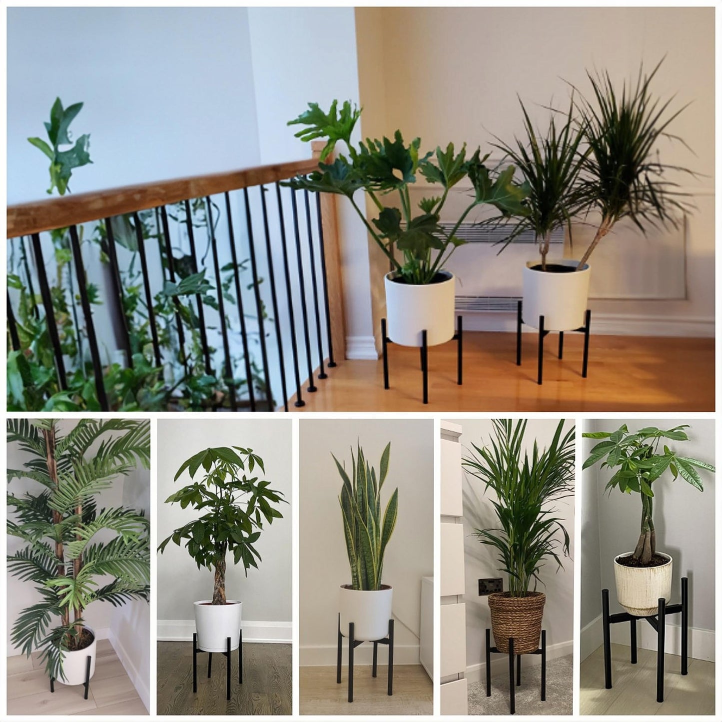 Plant Stand - Indoor Plant Stand Adjustable for 8-12 inches Plant Pot (not Included), Metal Plant Stands for Indoor Plants Mid Century Stable & Stylish Black Planter Stand for Outdoor -1 Pack