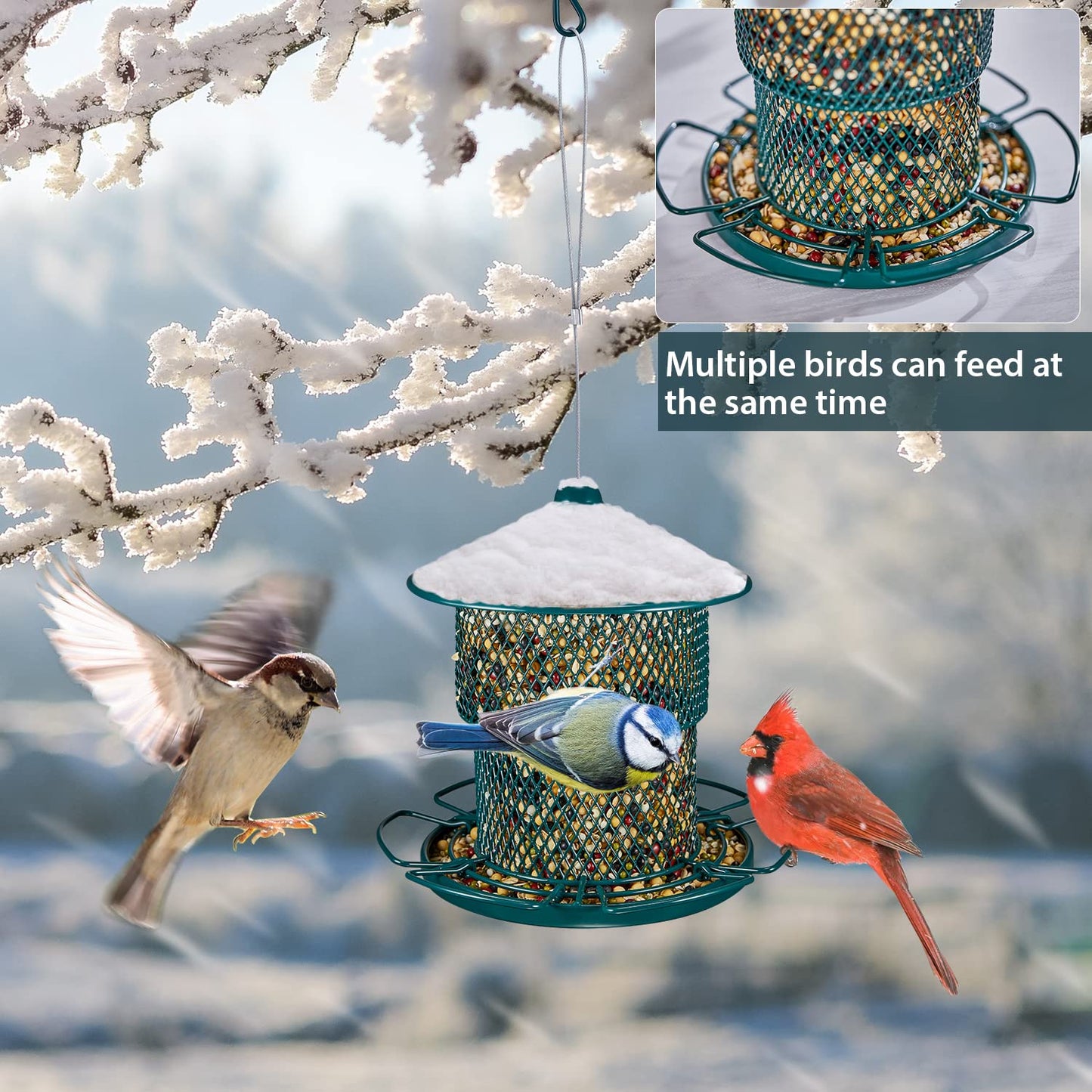 Metal Bird Feeder for Outside, Window Bird Feeder Eco-Friendly and Anti-Rust Wild Bird Feeders, Outdoor Birdfeeders for Wild Birds, Finch, Cardinal and Bluebird