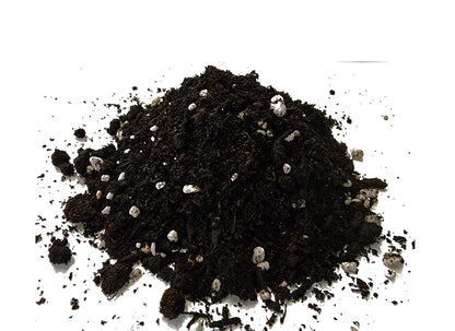 M.M Basics (10 L) Premium Organic Potting Soil Mix with Perlite, Worm Castings, Peat Moss, Aged Forest Products, and Rock Phosphate. Natural PH, an Ideal Soil for Indoor or Outdoor Organic Growing