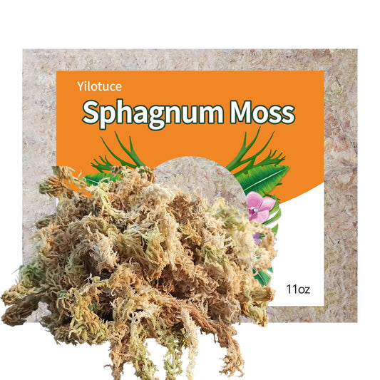 Yilotuce 11 oz Sphagnum Moss for Plants, Carefully Selected Clean Sphagnum Mos for Rooting Plants