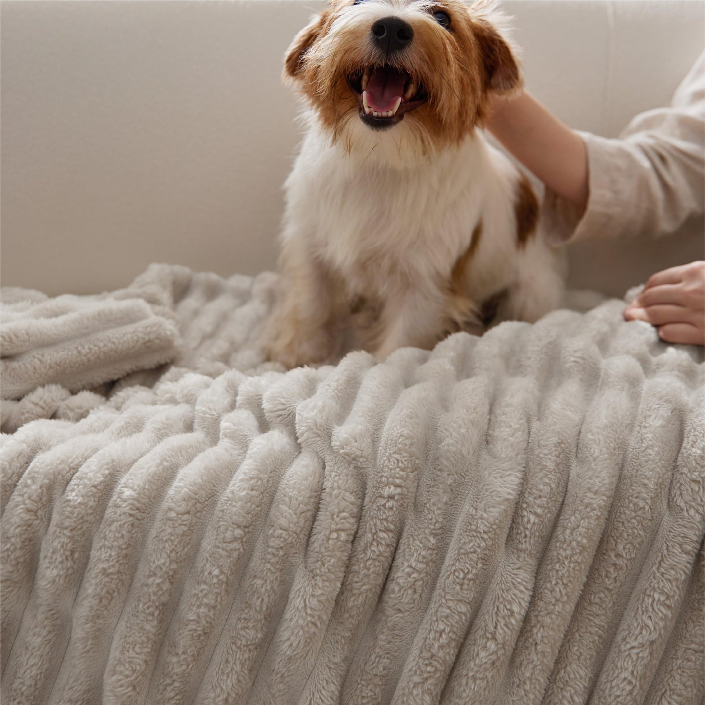 Bedsure Linen Throw Blanket for Couch - Living Room Decor, Birthday Gifts for Women, Soft Fluffy Fleece Cozy Fuzzy Plush Warm Minky Blanket, Spring Decor, Gifts for Men, Beige, 50x60''