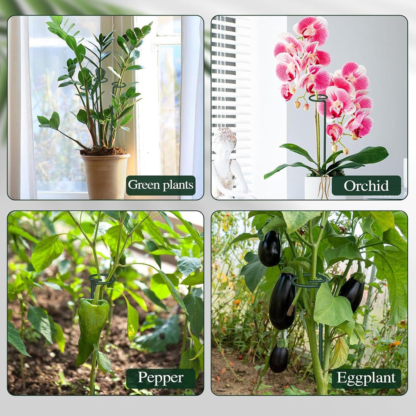 6Pcs Plant Support Stakes, 60cm Garden Single Stem Plant Support Stakes Adjustable Plant Sticks Support with 30 Orchid Clips for Peonies Tomatos Lily Rose Plant Climbing