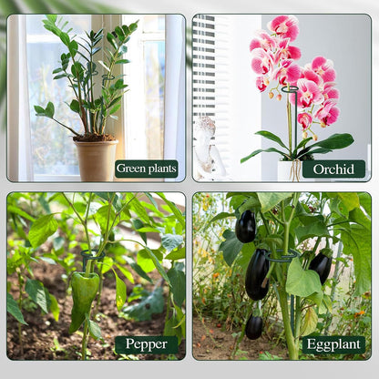 6Pcs Plant Support Stakes, 60cm Garden Single Stem Plant Support Stakes Adjustable Plant Sticks Support with 30 Orchid Clips for Peonies Tomatos Lily Rose Plant Climbing