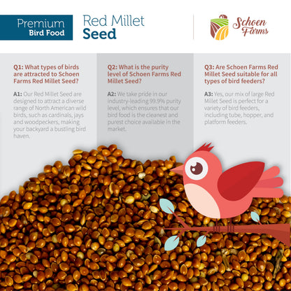 Schoen Farms Red Millet Bird Seed – 2.27 kg Bag – Natural Grain for Cardinals, Chickadees, Woodpeckers & Songbirds – Canadian Grown