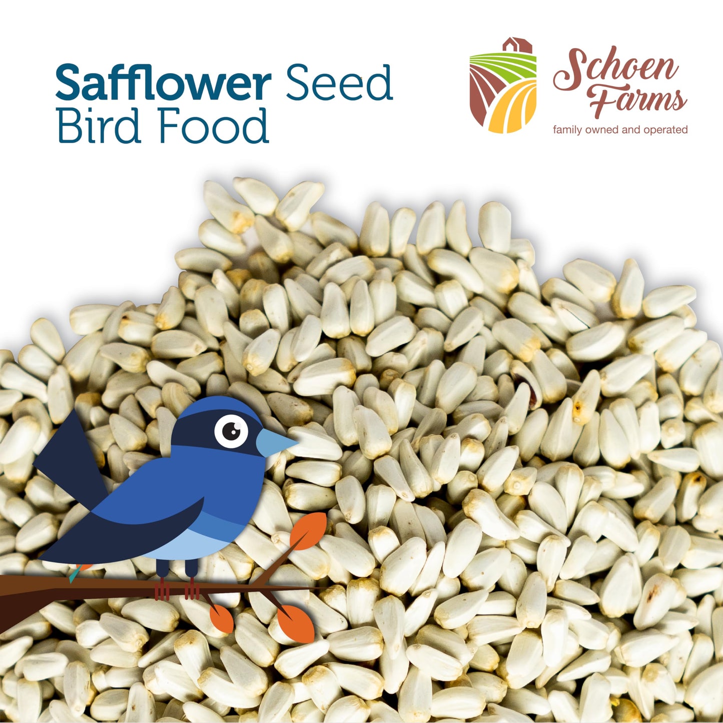 Schoen Farms Safflower Seeds Bird Food – 2.27 kg Bag – Natural Seed for Cardinals, Finches & Doves – Squirrel-Resistant, Canadian Grown