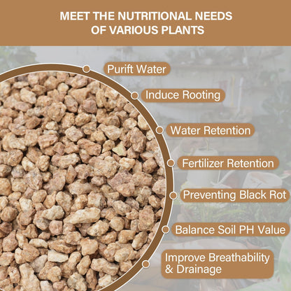 NUPICK 6lb Maifanitum Stones for Succulent, 1/8"-1/4" Golden Pea Gravel for Cactus, Small Pebbles for Indoor Plants Soil Covers, Decorative Rocks for Bonsai, Vases Fillers, Aquarium, Top Dressing