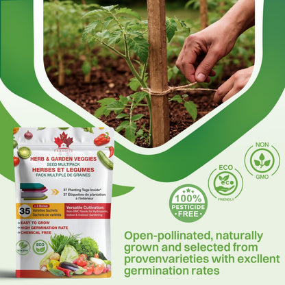 PZ 35+2 Packs Vegetable & Herb Seeds, Heirloom Seeds Packets + 37 Tags Over 6000 +Seeds 100% Non-GMO. Sachets de graines potagères (35+2)
