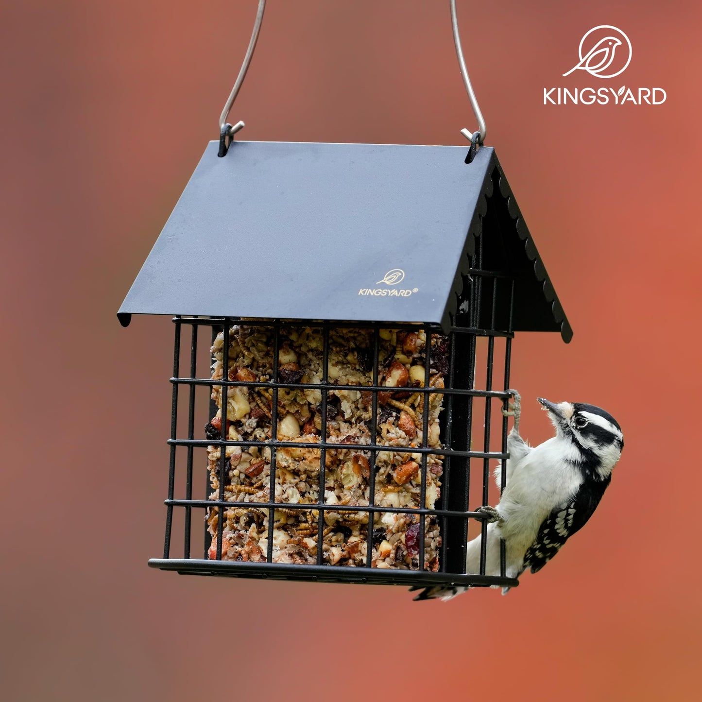 Kingsyard Cute Suet Feeder with Weatherproof Roof, All Metal, Two Suet Capacity, Outdoor Cage Bird Feeder for Wild Bird, w/Hanger, Black
