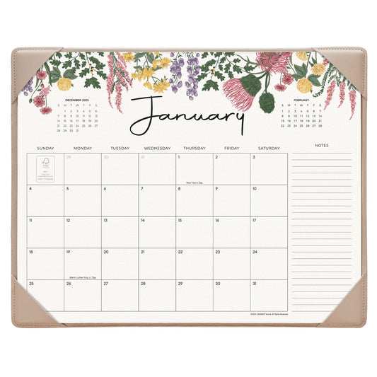 Cabbrix Desk Calendar 2026 with Desktop Mat, Desk Pad Calendar 15"x 12" From January 2026 to June 2027, Desk Calendar for Home Office and School, Easy Planning (Apricot)