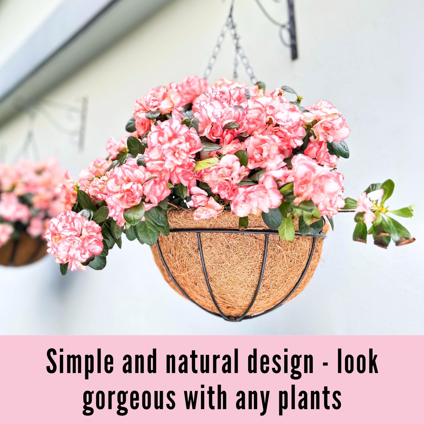 LaLaGreen Hanging Planters for Outdoor Plants (12 Inch, 2 Pack) Hanging Baskets with Coco Liner Flower Pots, Metal Wire Round Plant Holder Hanger Hook Chain Deck Porch Garden Balcony Farmhouse Decor
