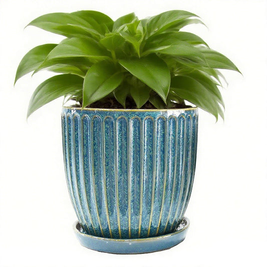 6 Inch Ceramic Plant Pots with Drain Hole & Saucer, Ceramic Pots for Indoor Plants - Succulent, Snake Plant, Money Tree, Aloe Vera, Basil Planter（Glaze Blue）