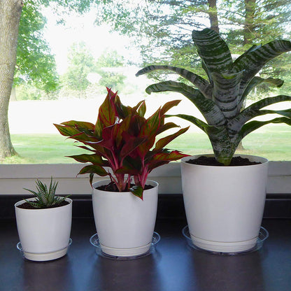 24 Pack Plant Saucer, Clear Plastic Plant Pot Saucer, Made of Thicker, Stronger Plastic, with Unique Design, Durable Flower Plant Tray for Indoor and Outdoor Plants(4 Size, 6/8/10/12 Inch)