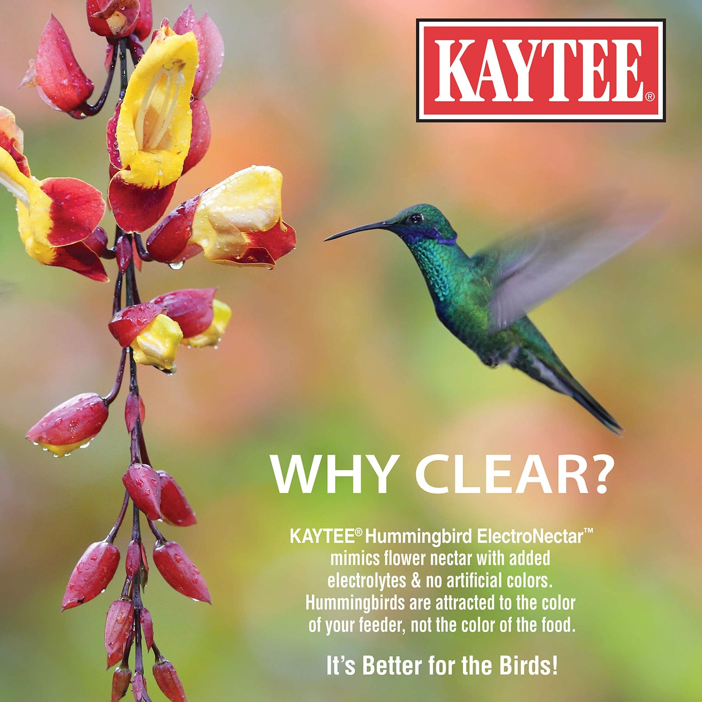 Kaytee Hummingbird Ready to Use Electro Nectar, 64-Ounce