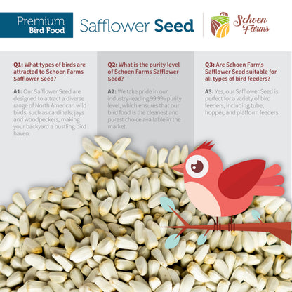Schoen Farms Safflower Seeds Bird Food – 2.27 kg Bag – Natural Seed for Cardinals, Finches & Doves – Squirrel-Resistant, Canadian Grown
