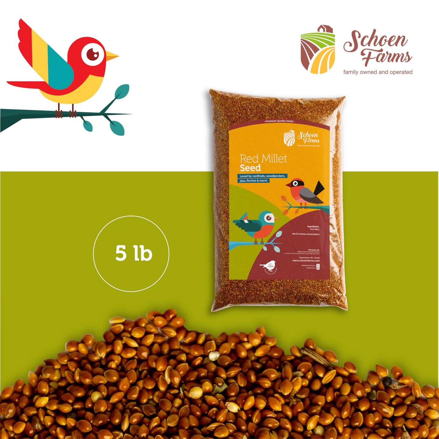 Schoen Farms Red Millet Bird Seed – 2.27 kg Bag – Natural Grain for Cardinals, Chickadees, Woodpeckers & Songbirds – Canadian Grown
