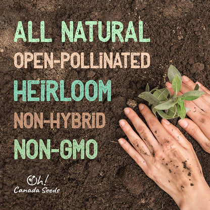 Heirloom Seeds Canada – 20 Vegetable Seeds for Planting Canada – Premium Garden Seeds by Oh Canada Seeds – Ideal for Short Growing Season, Survival Food, Graines Légumes Jardin