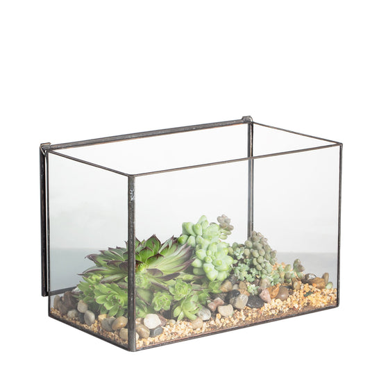 NCYP Glass Terrarium Box with Lid for Succulent, Small Plants - Tabletop Rectangle Clear Geometric Planter Pot, 17x10x12 cm, Indoor Decor, Black (Terrarium Only)