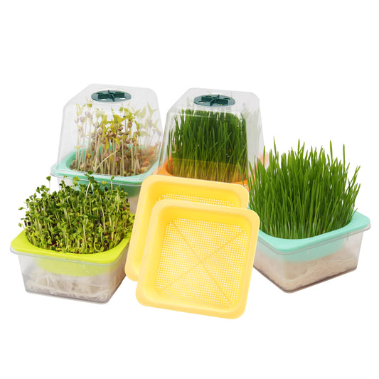 6 Pcs Microgreen Growing Tray with Lid, Sprouting Tray with Humidity Dome, Reusable BPA Free Seed Sprouter Kit for Growing Broccoli, Bean Sprouts, Cat Grass, Wheat Grass & More- Clear Base