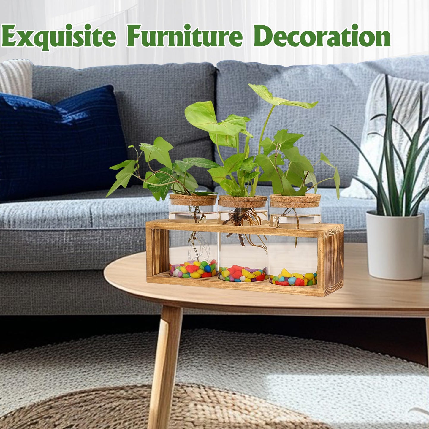 Clear Plant Propagation Station with Retro Wooden Stand, Glass Plant Terrarium Decor with 3 Vase, Desktop Plant Stand for Hydroponic Home Office Garden Decor, Plant Lover Gifts (3 Vase)