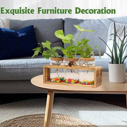Clear Plant Propagation Station with Retro Wooden Stand, Glass Plant Terrarium Decor with 3 Vase, Desktop Plant Stand for Hydroponic Home Office Garden Decor, Plant Lover Gifts (3 Vase)