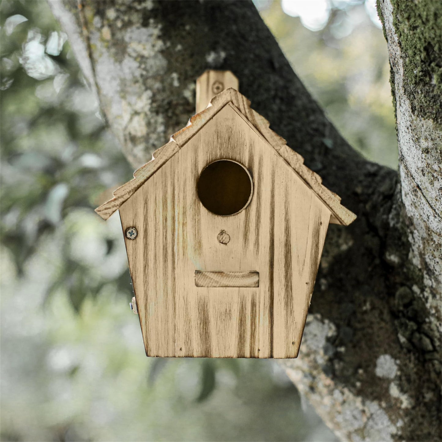CLACKIBUKVYZ Bird Houses - Wooden Bird House for Outside with Pole - 1-1/2 Inch Entrance Hole for Bluebirds, Wrens, Chickadees, and Tree Swallows - Hanging Birdhouse for Garden
