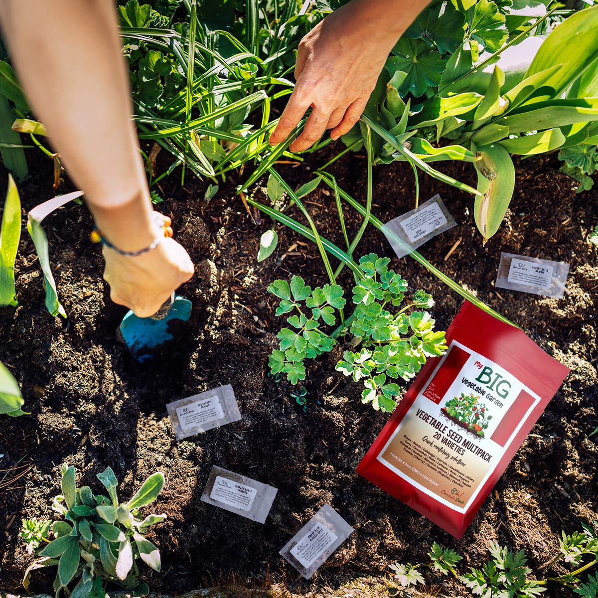 Heirloom Seeds Canada – 20 Vegetable Seeds for Planting Canada – Premium Garden Seeds by Oh Canada Seeds – Ideal for Short Growing Season, Survival Food, Graines Légumes Jardin