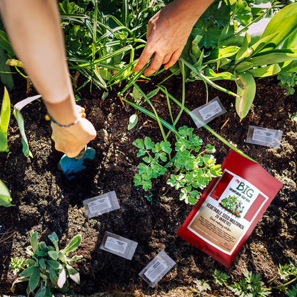 Heirloom Seeds Canada – 20 Vegetable Seeds for Planting Canada – Premium Garden Seeds by Oh Canada Seeds – Ideal for Short Growing Season, Survival Food, Graines Légumes Jardin