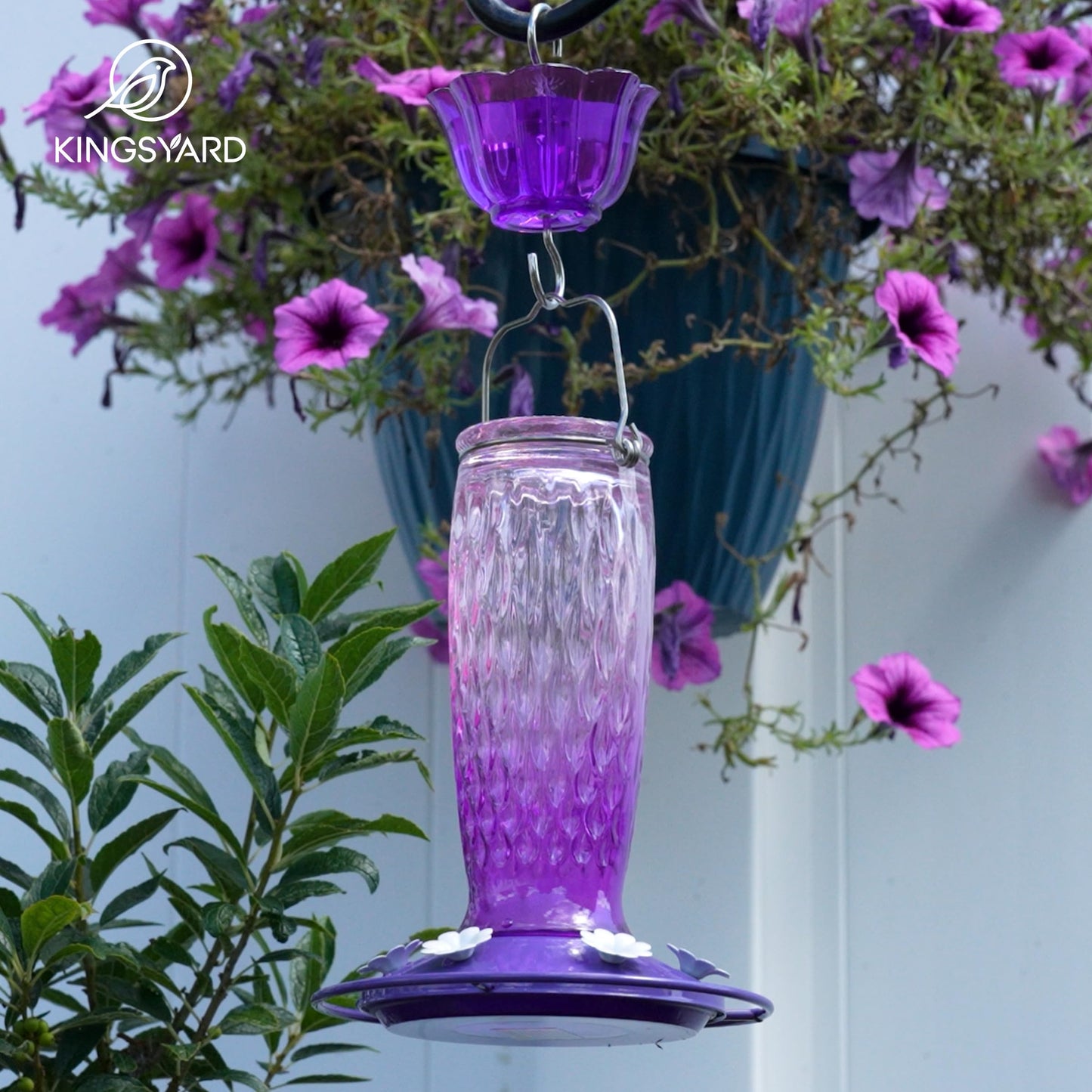 Kingsyard Hummingbird Feeders for Outdoors Hanging, 24 Ounce, Glass Hummingbird Feeder with Ant Moat & 6 Feeding Ports, Leak-Proof, Pink & Purple