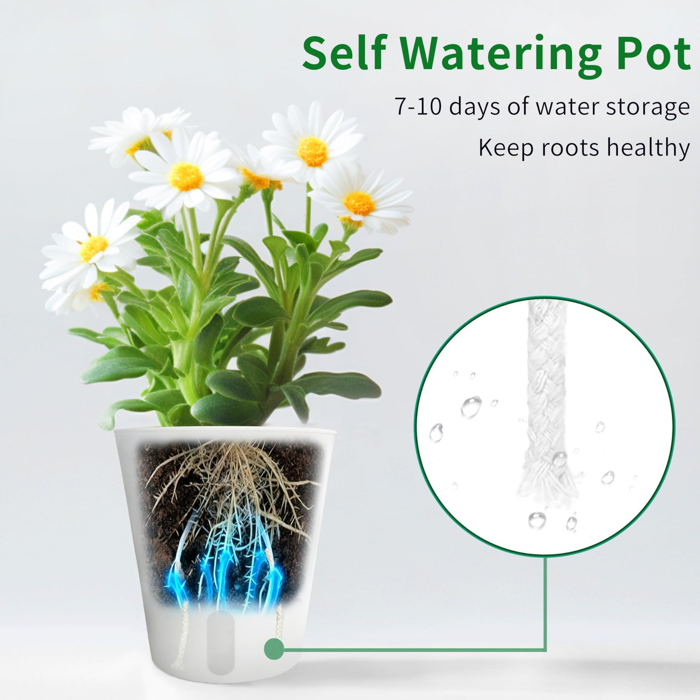 8 Pack 4 inch self Watering pots for Indoor Plants, Small Self Watering Planters with Visual Water Level Window,self Watering Plant pots for Aloe,Herbs,African Violets