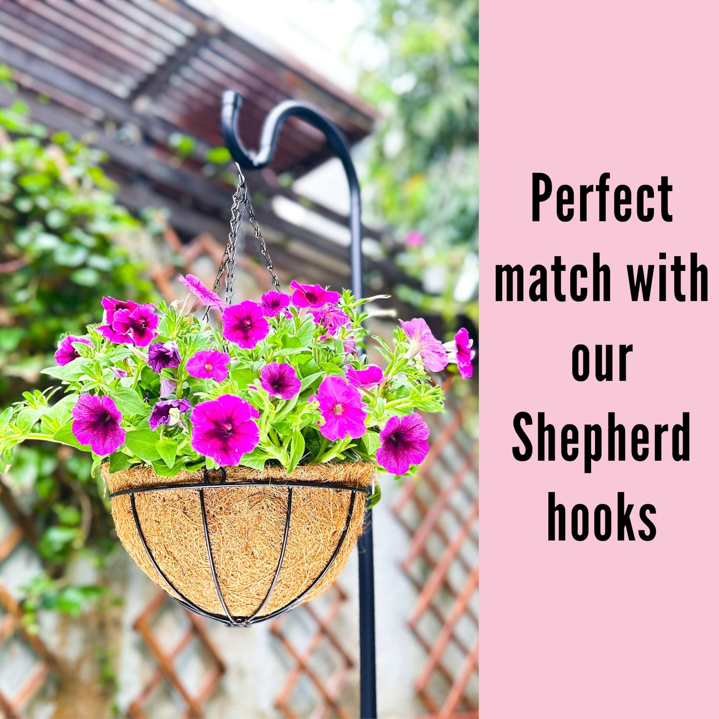 LaLaGreen Hanging Planters for Outdoor Plants (12 Inch, 2 Pack) Hanging Baskets with Coco Liner Flower Pots, Metal Wire Round Plant Holder Hanger Hook Chain Deck Porch Garden Balcony Farmhouse Decor