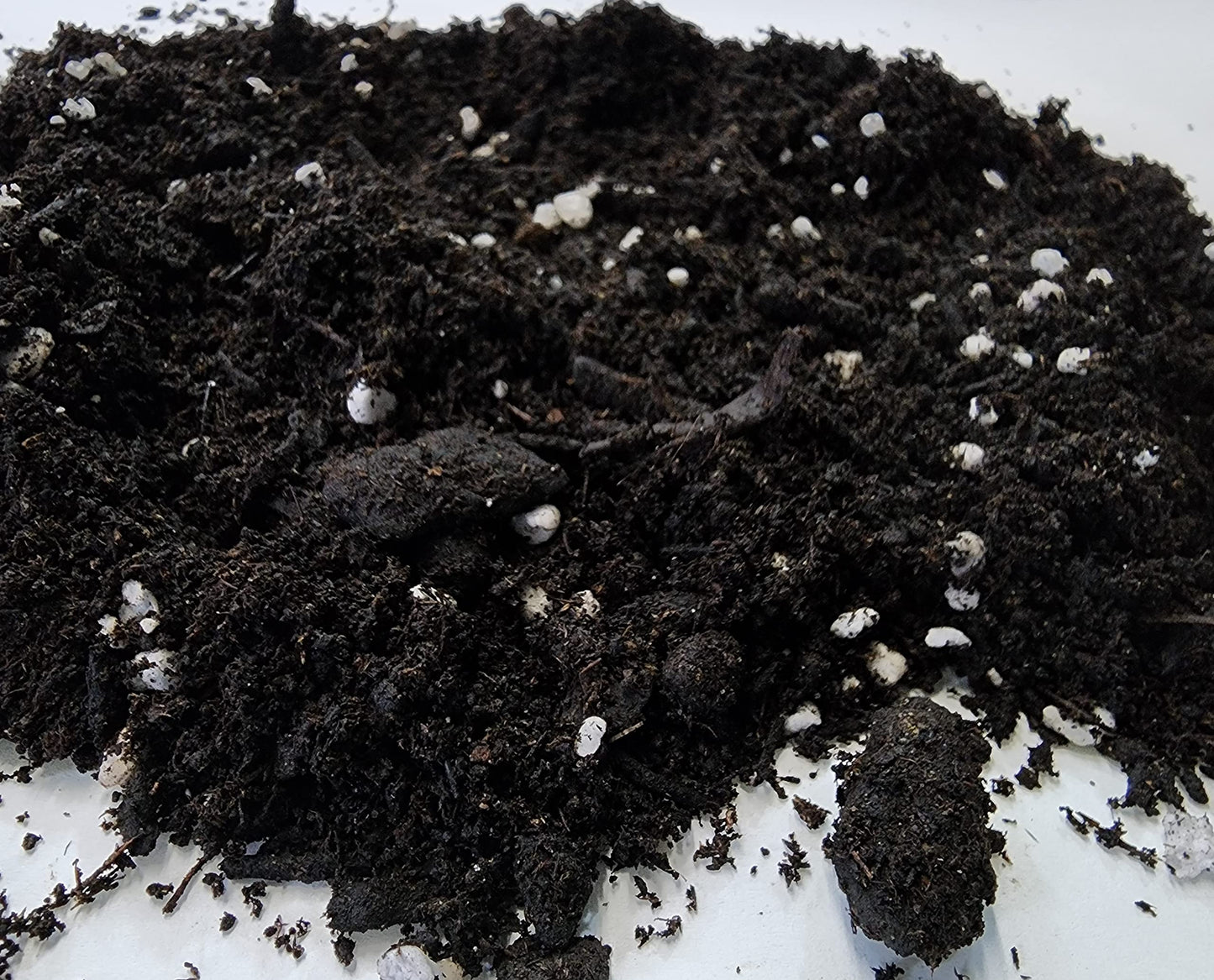 M.M Basics (10 L) Premium Organic Potting Soil Mix with Perlite, Worm Castings, Peat Moss, Aged Forest Products, and Rock Phosphate. Natural PH, an Ideal Soil for Indoor or Outdoor Organic Growing