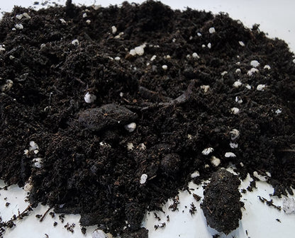 M.M Basics (10 L) Premium Organic Potting Soil Mix with Perlite, Worm Castings, Peat Moss, Aged Forest Products, and Rock Phosphate. Natural PH, an Ideal Soil for Indoor or Outdoor Organic Growing