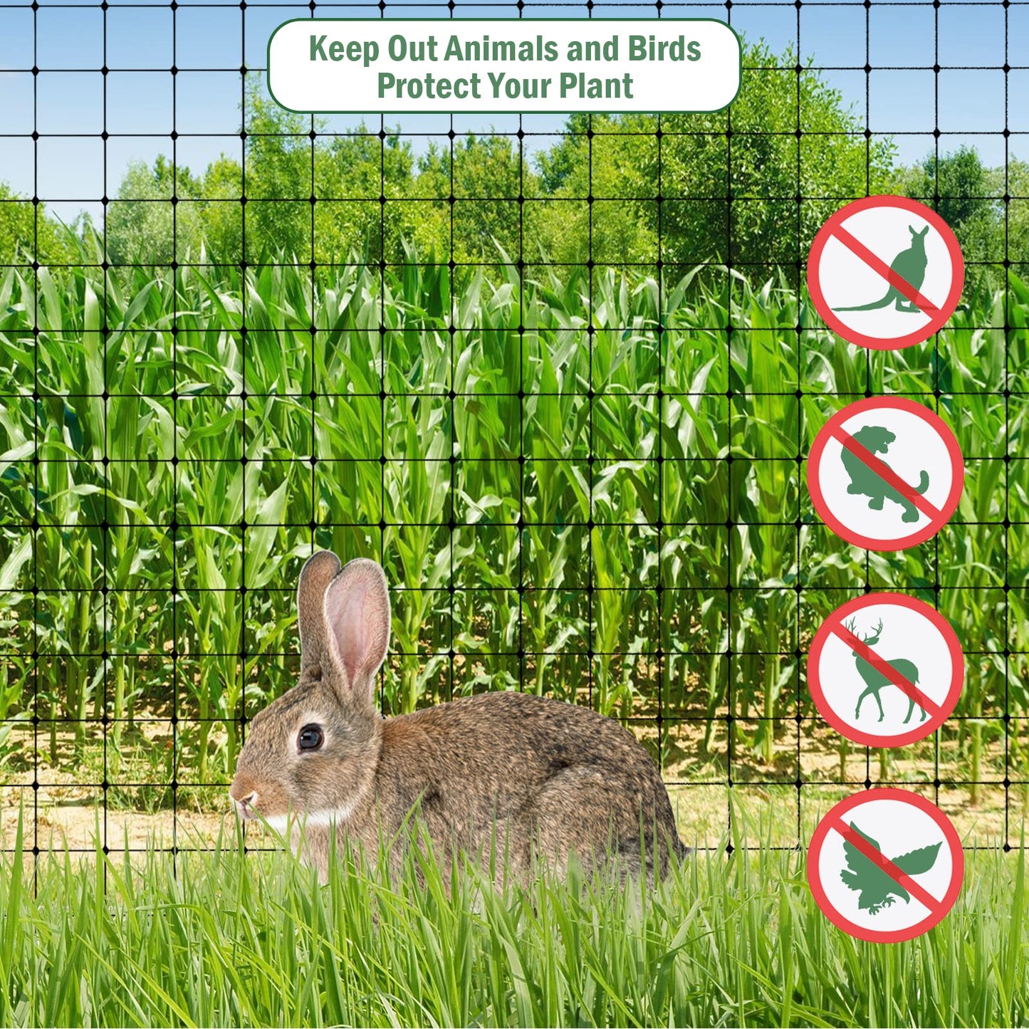 Garden Netting, 13.1 X 32.8ft Bird Netting, Reusable Garden Mesh Protect Plants Vegetables Fruits Flowers Ponds Against Bird Animals and Pests, with 50Pcs Cable Ties (4 * 10M)