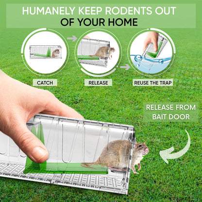 Zakattack, Premium Humane Mouse Trap, Mouse Traps Indoor for Home, Safe for Kids and Pets, Catch and Release, Reusable, for Small Mice and Rodents (4 Pack)