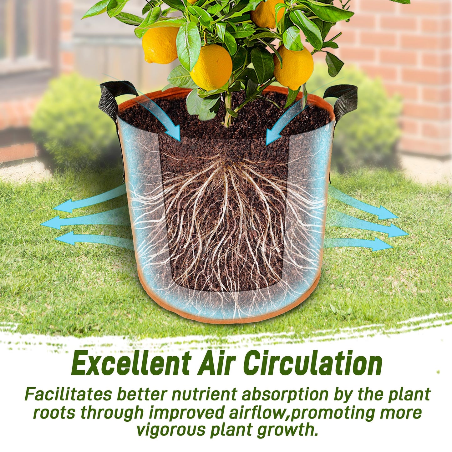 5 Gallon Plant Grow Bags, 7Pack Colourful Fabric Planters with Reinforced Handles, Plant Pots Garden Bags to Grow Vegetables, Aeration Growing Bags for Flower Fruit