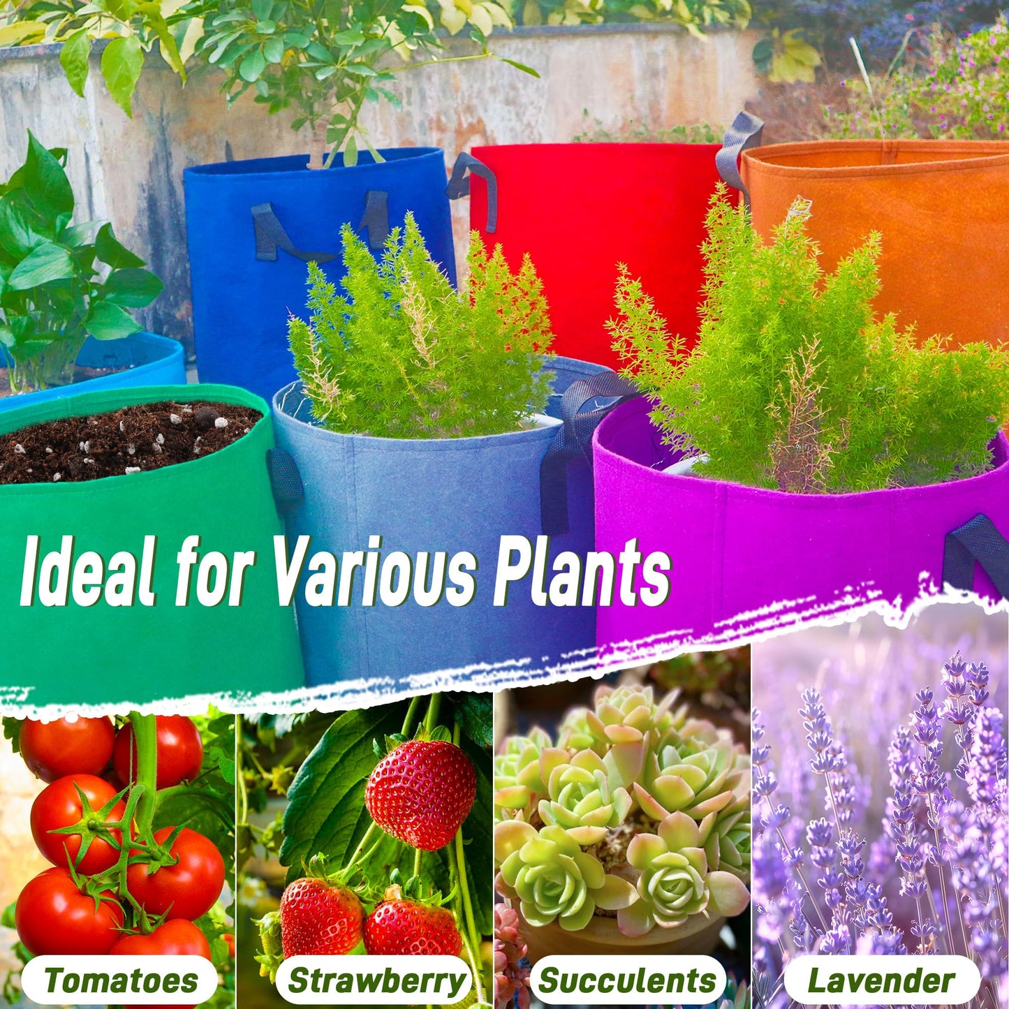 5 Gallon Plant Grow Bags, 7Pack Colourful Fabric Planters with Reinforced Handles, Plant Pots Garden Bags to Grow Vegetables, Aeration Growing Bags for Flower Fruit