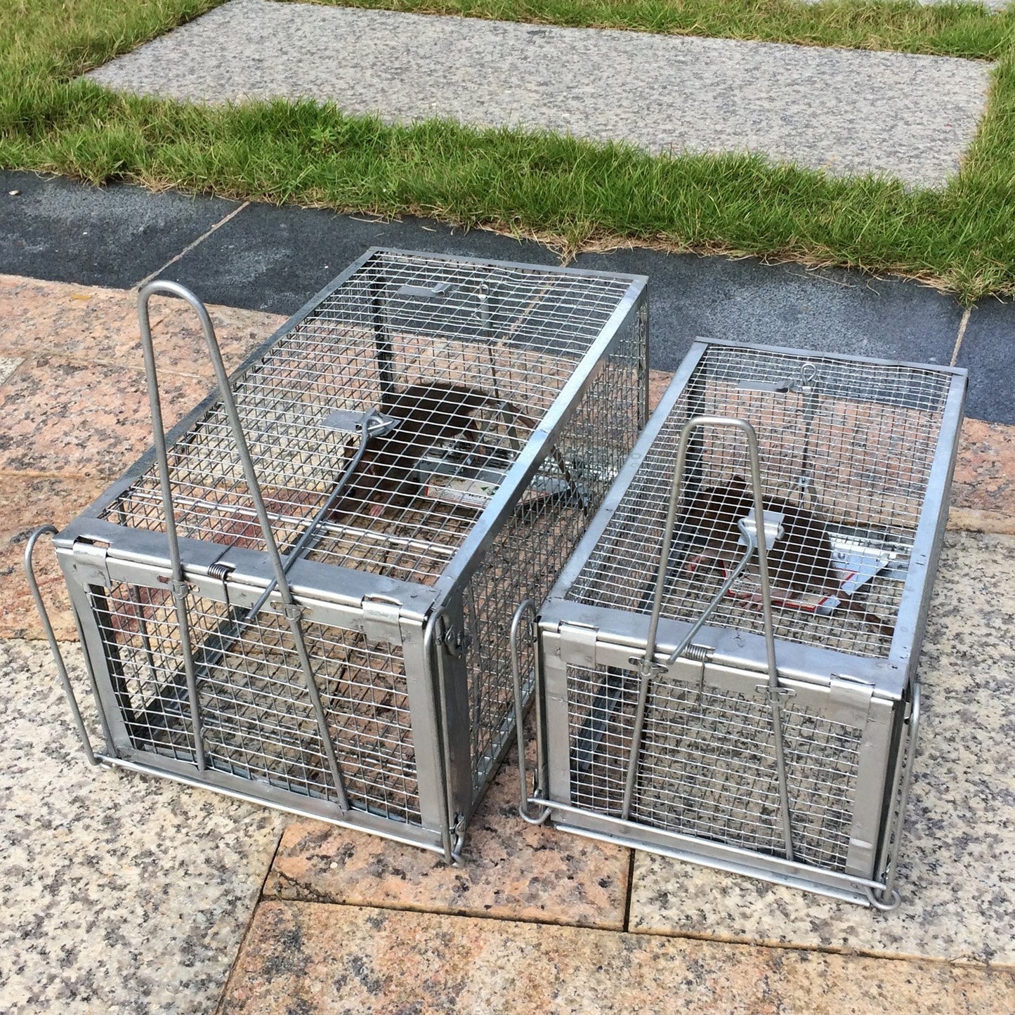 Kensizer Small Animal Humane Live Cage Rat Mouse Chipmunk Mice Voles Hamsters Trap That Work for Indoor and Outdoor, Catch and Release