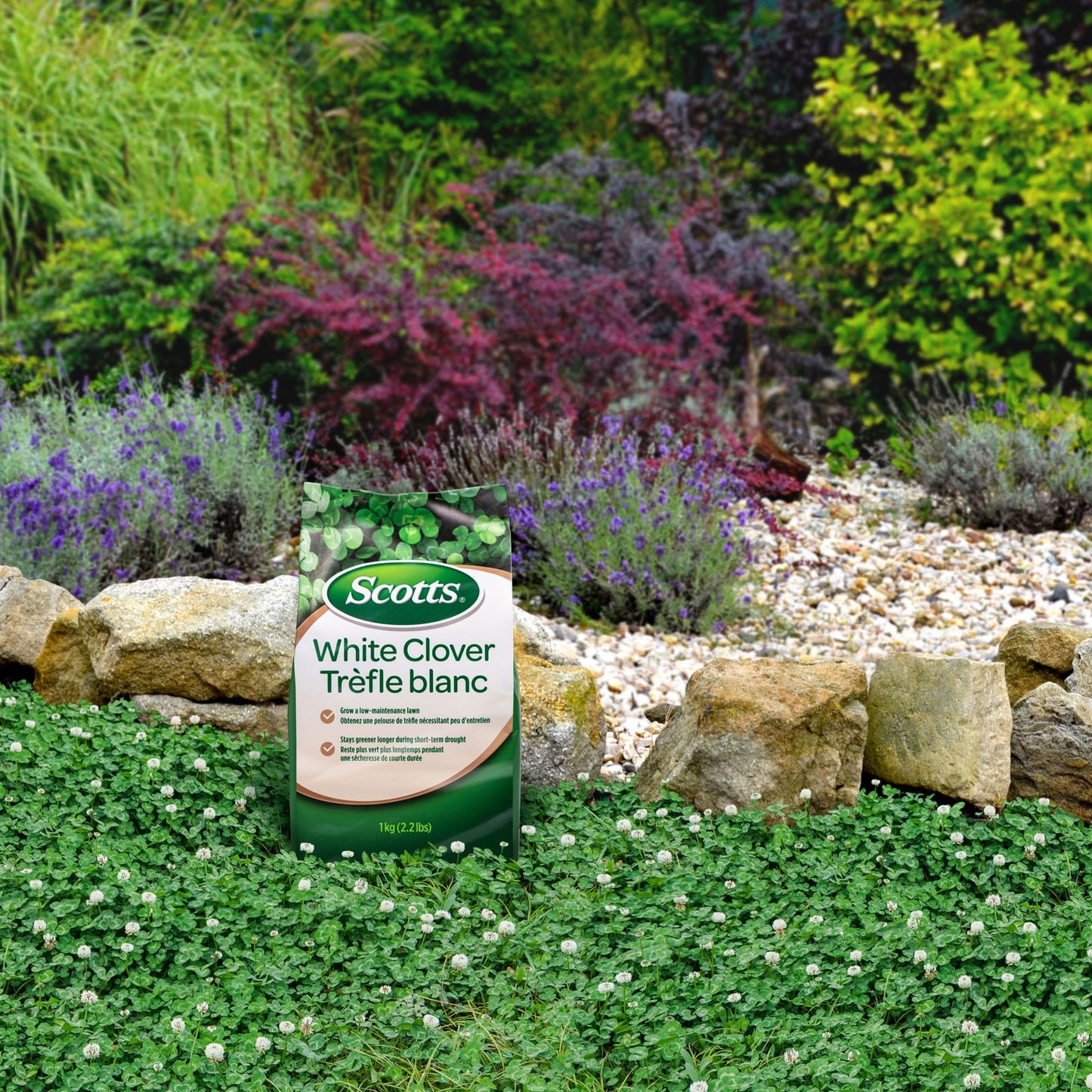Scotts White Clover 1Kg